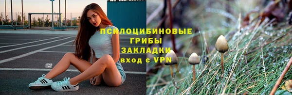тгк Богданович